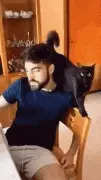 主人故意把食物拿到猫面前糊弄它，结果黑猫这反击太漂亮了！