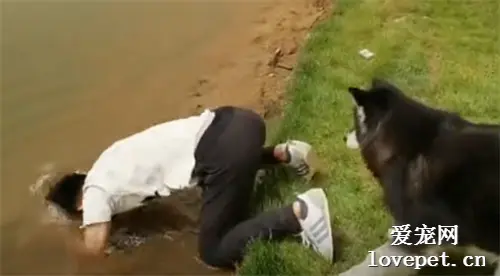 狗子：但凡主人给狗一次这样的机会，就绝对不能放过，大不了爽完再挨打