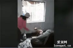 没有爱的人，做什么寄养？