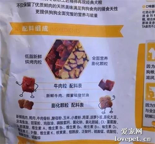 狗狗能不能吃“泡饭”？牙结石、口臭是怎么回事？