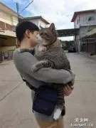 远看男子抱着一只猫，近一看发现他好吃力，这有点大！