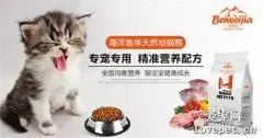 猫粮和狗粮组成成分分析