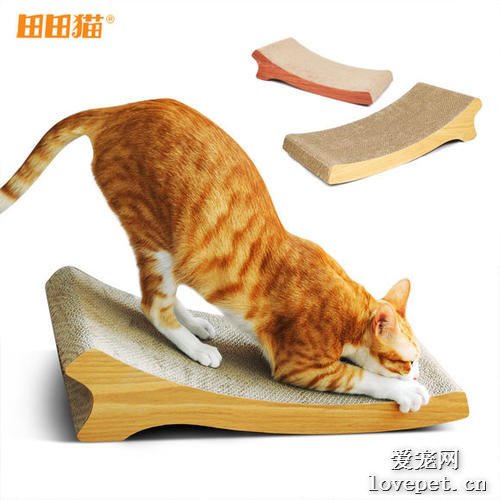 最受欢迎的猫玩具是什么？