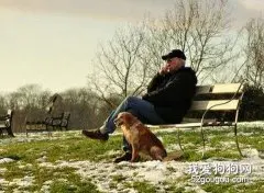 老年人怎样养宠物？