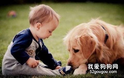 狗狗和小孩