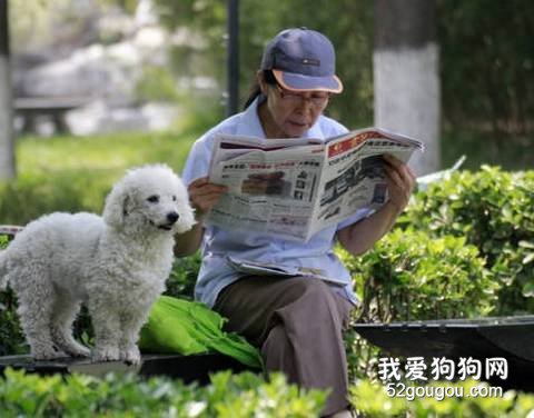 老年人养狗