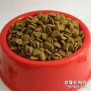 狗粮和猫粮的区别是什么？