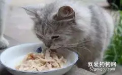 猫吃盐会不会掉毛，猫吃咸了会掉毛吗