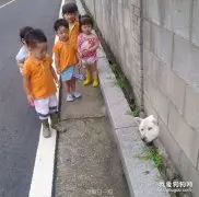 狗是世界上最容易被卡住的生物，没有之一！