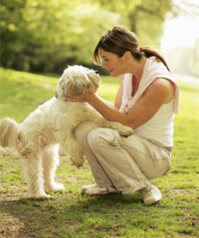 宿舍养宠物之我见My View on Keeping Pets in Dormitory