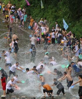 泼水节 Water-splashing Festival