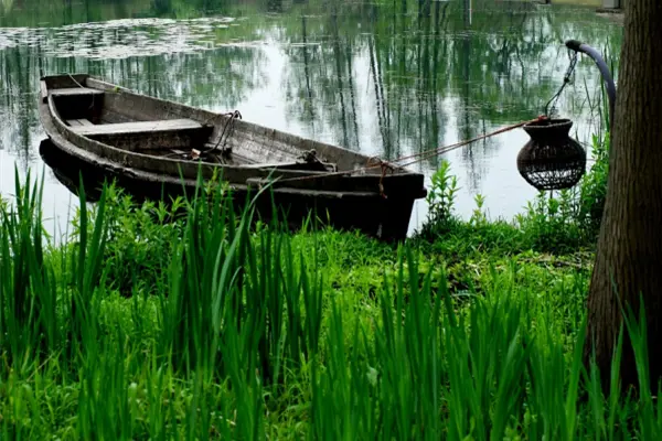 小木船 The Little Wooden Boat 