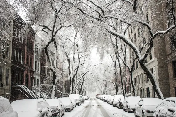 雪景 Snow Scenery