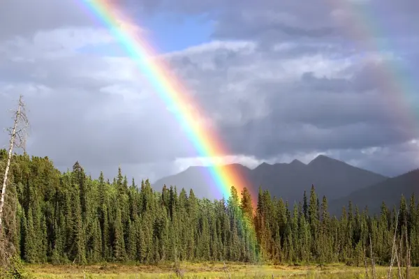 雨后彩虹 The Rainbow Over Rain