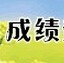 体质健康标准及体育成绩管理系统